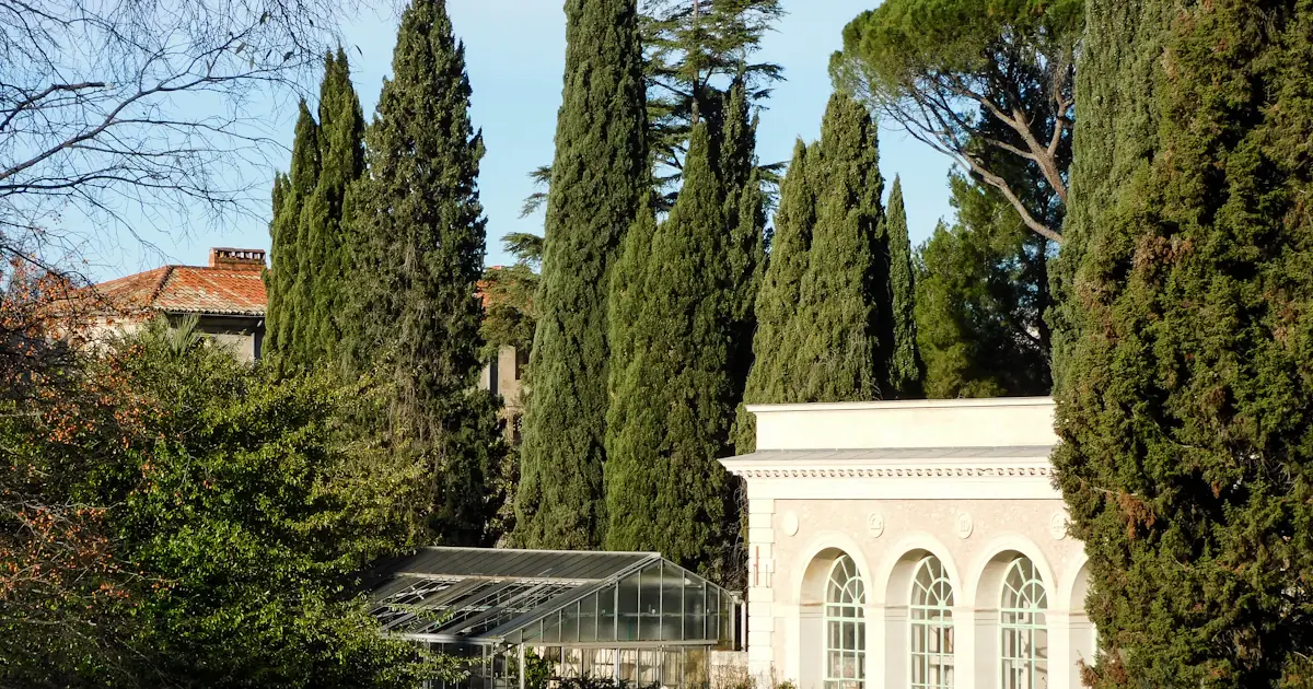Quartier Hôpitaux-Facultés à Montpellier, campus et CHU